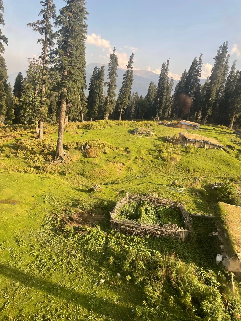 Photo of Srinagar to Gulmarg - A day trip itinerary by Geetha Ranganathan