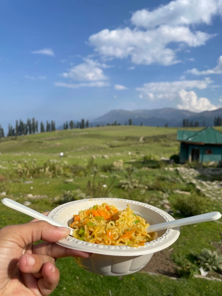 Photo of Srinagar to Gulmarg - A day trip itinerary by Geetha Ranganathan
