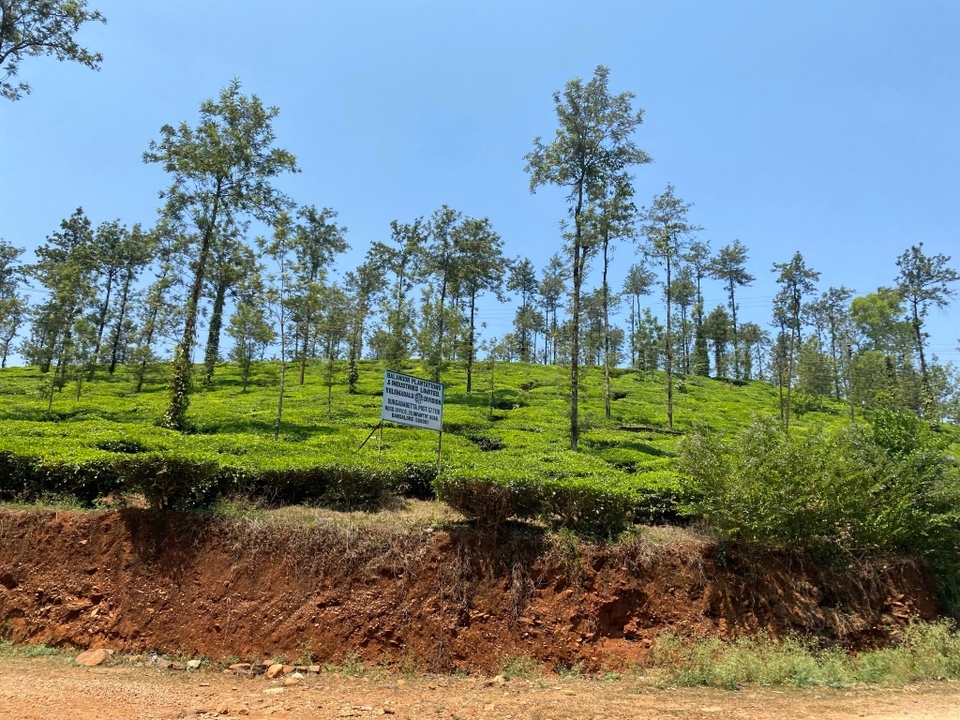 Photo of This Road Trip Along The Coast Of Karnataka Should Be On Every Traveller's Bucket List by Geetha Ranganathan