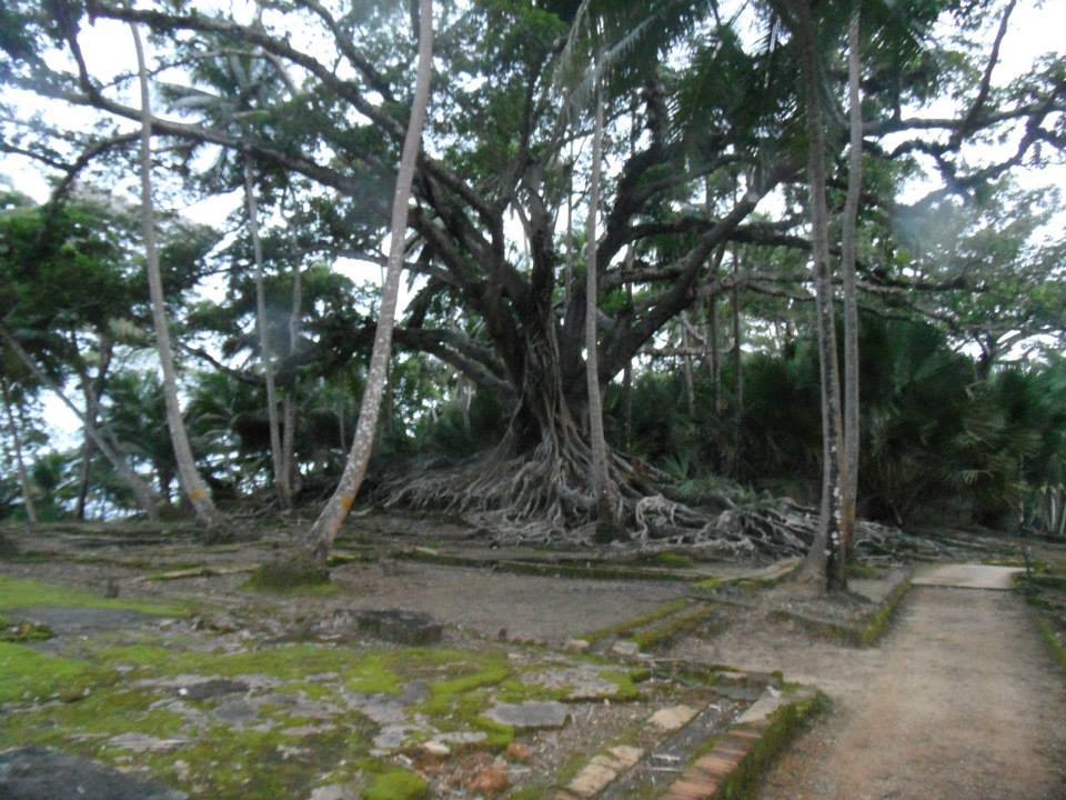 Photo of Amazing Andaman 8/15 by koutilya