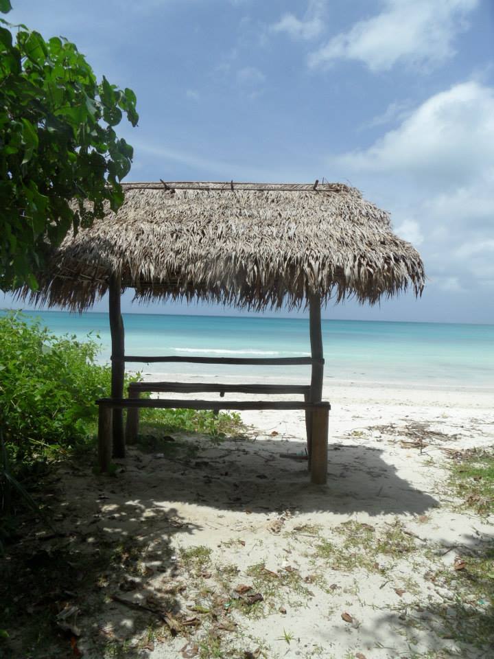 Photo of Amazing Andaman 5/15 by koutilya