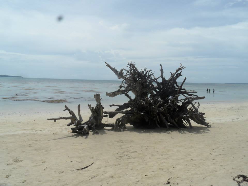 Photo of Amazing Andaman 12/15 by koutilya