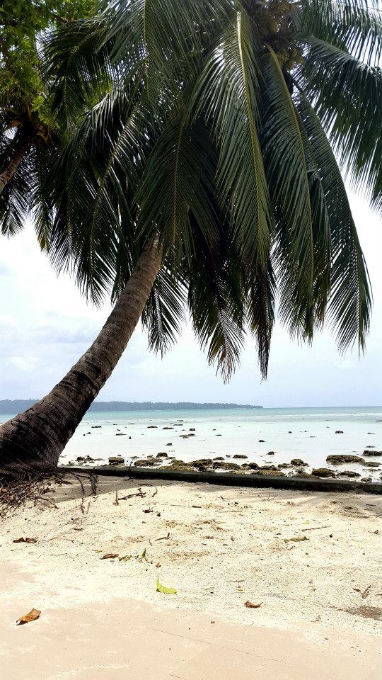 Photo of Amazing Andaman 2/15 by koutilya