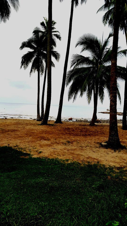 Photo of Amazing Andaman 9/15 by koutilya