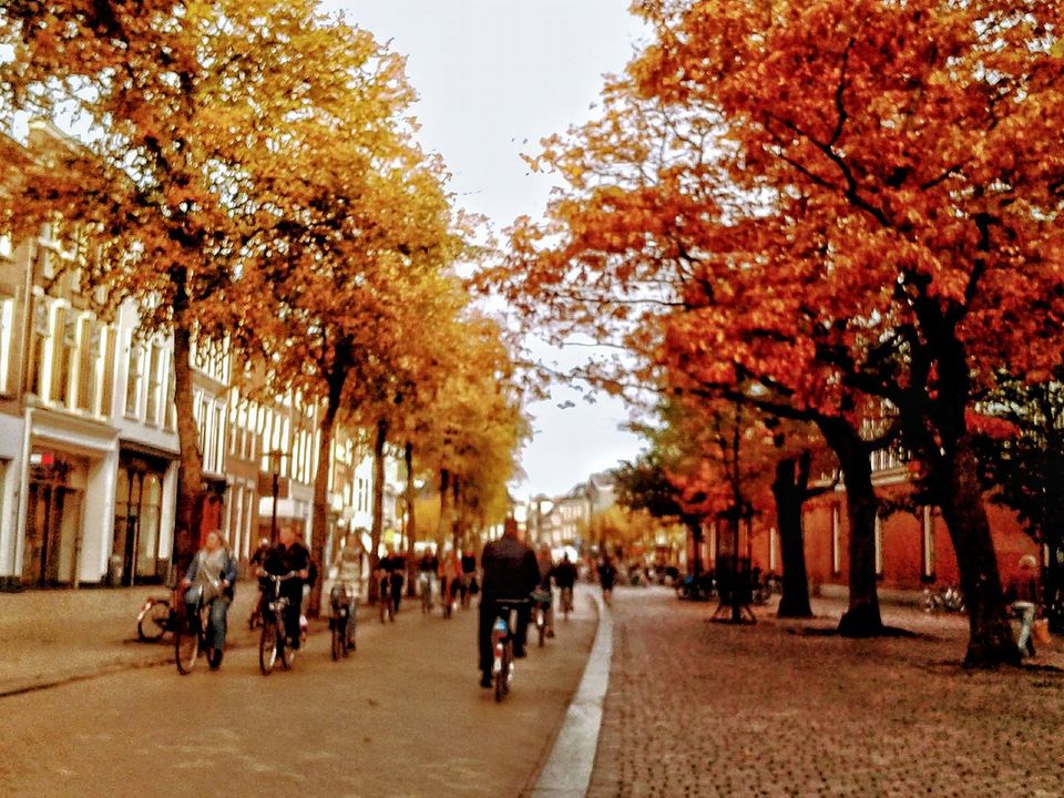Photo of The Netherlands by Debadrita Jana
