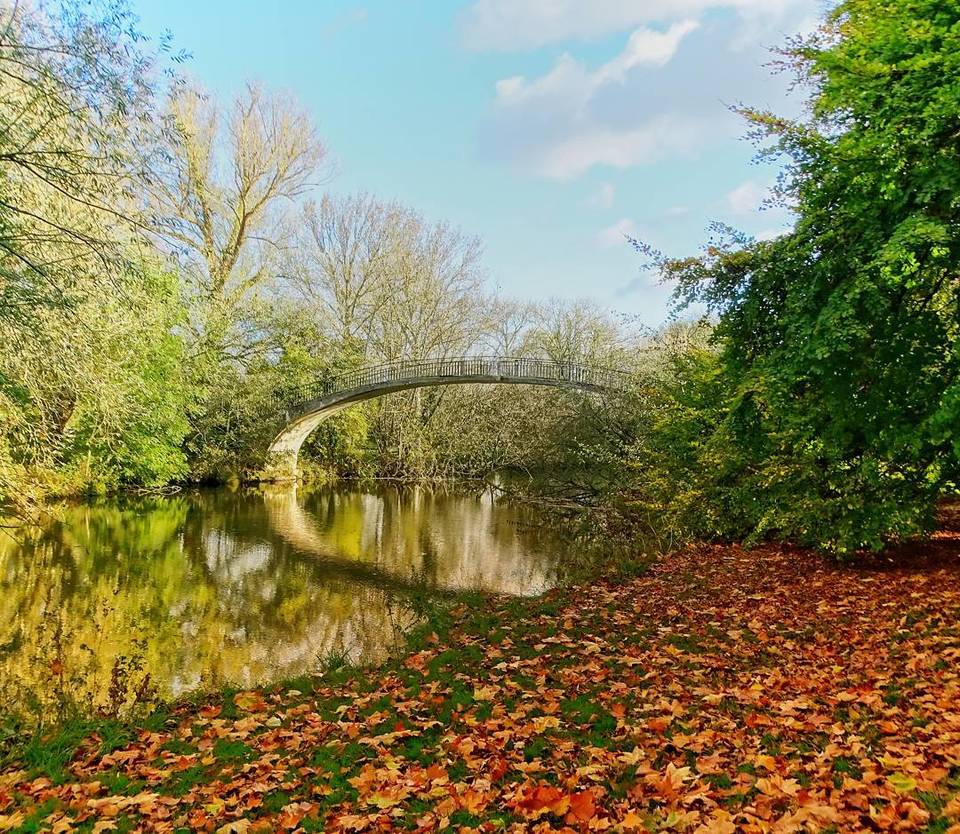 Photo of Oxford, United Kingdom by Debadrita Jana