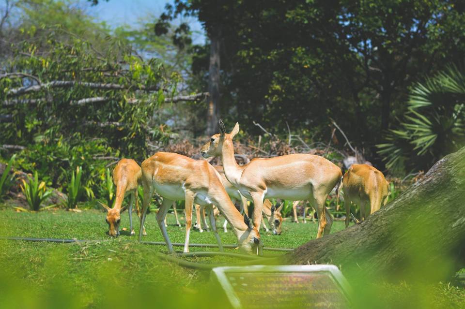 Photo of IIT Madras, Chennai, Tamil Nadu, India by Jyotirmoy Gupta