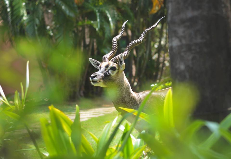 Photo of IIT Madras, Chennai, Tamil Nadu, India by Jyotirmoy Gupta