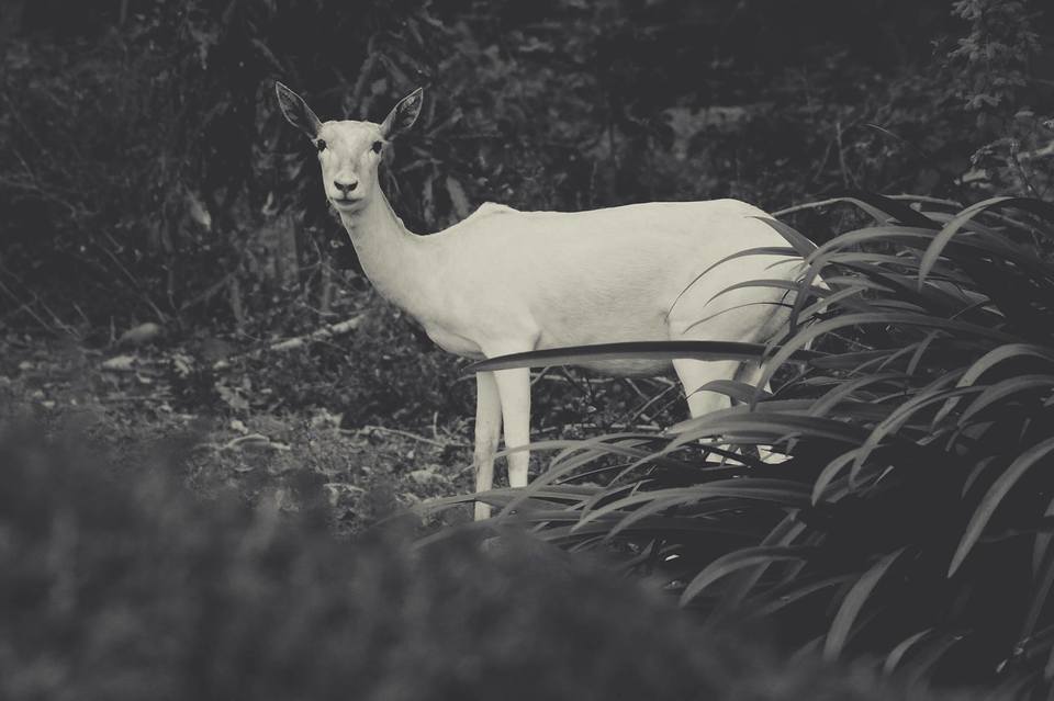 Photo of IIT Madras, Chennai, Tamil Nadu, India by Jyotirmoy Gupta