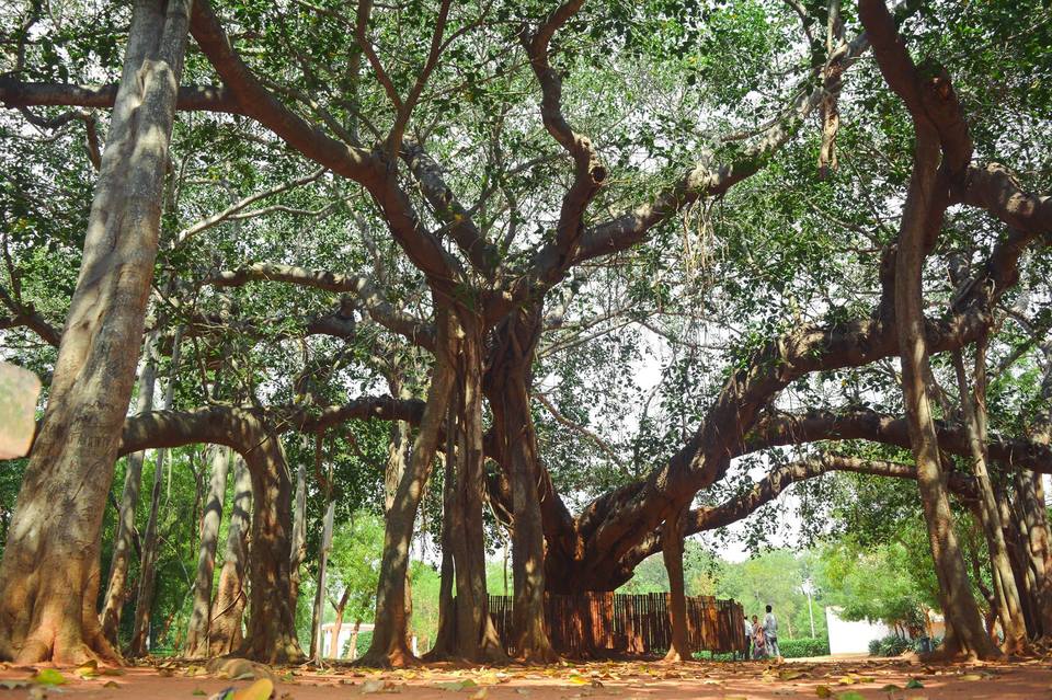Photo of Auroville, Tamil Nadu, India by Jyotirmoy Gupta