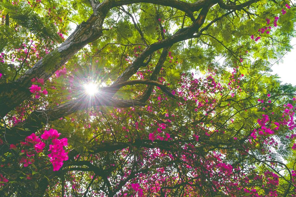 Photo of Auroville, Tamil Nadu, India by Jyotirmoy Gupta