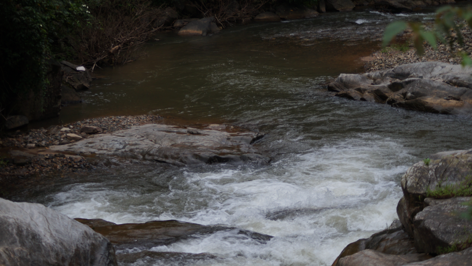 Photo of Chikmagalur and Ranijhari - Our Enchanting Vacation After 2 Years 2/2 by Rajashree Ghosh