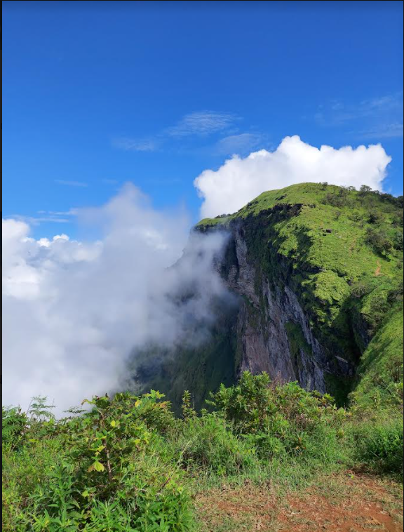 Photo of Chikmagalur and Ranijhari - Our Enchanting Vacation After 2 Years by Rajashree Ghosh