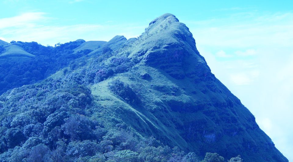 Photo of Chikmagalur and Ranijhari - Our Enchanting Vacation After 2 Years by Rajashree Ghosh