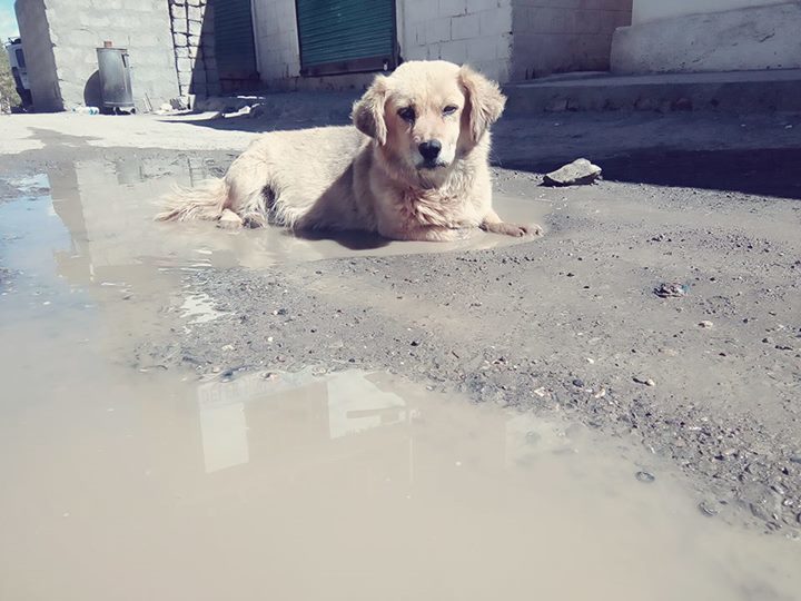 Photo of Kaza, Himachal Pradesh, India by Sonali Gurung