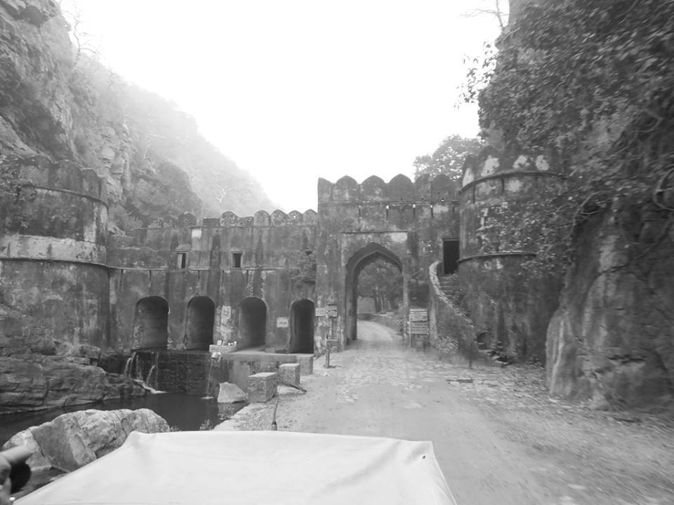 Photo of Ride to Sawai Madhopur(Ranthambore) 26/27 by Mohit Nair