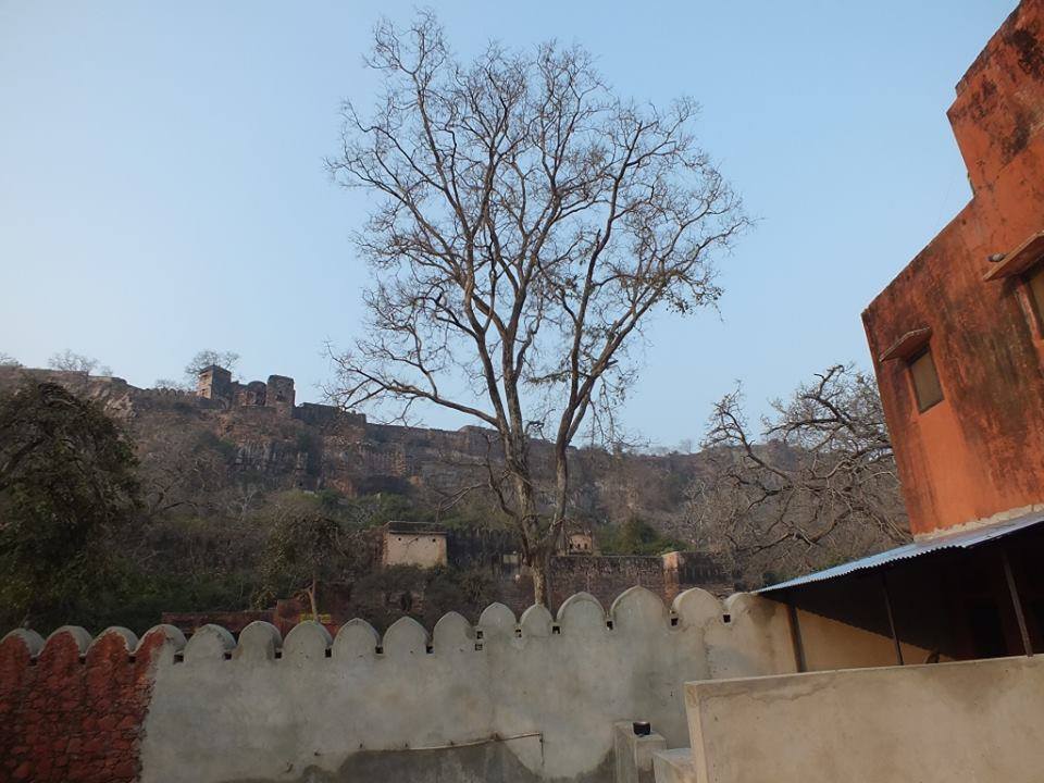 Photo of Ride to Sawai Madhopur(Ranthambore) 21/27 by Mohit Nair