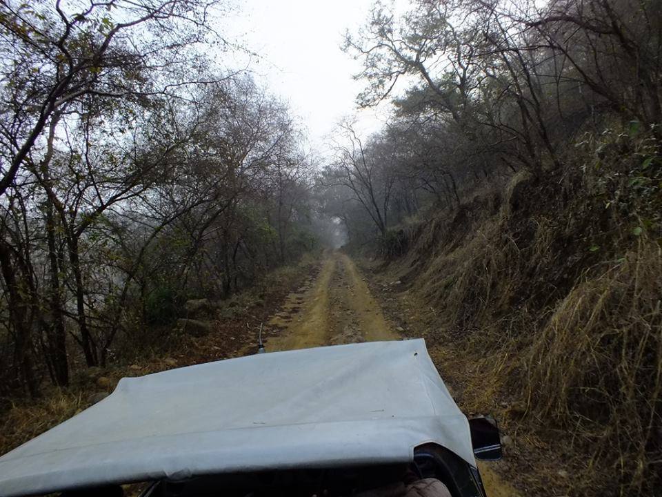 Photo of Ride to Sawai Madhopur(Ranthambore) 22/27 by Mohit Nair