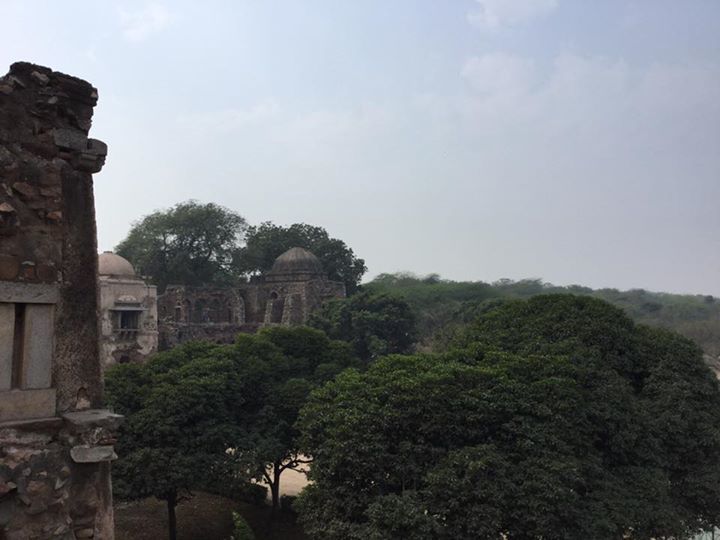 Photo of Delhi - A Concoction of History And Modern India. by Muktadhara Ray