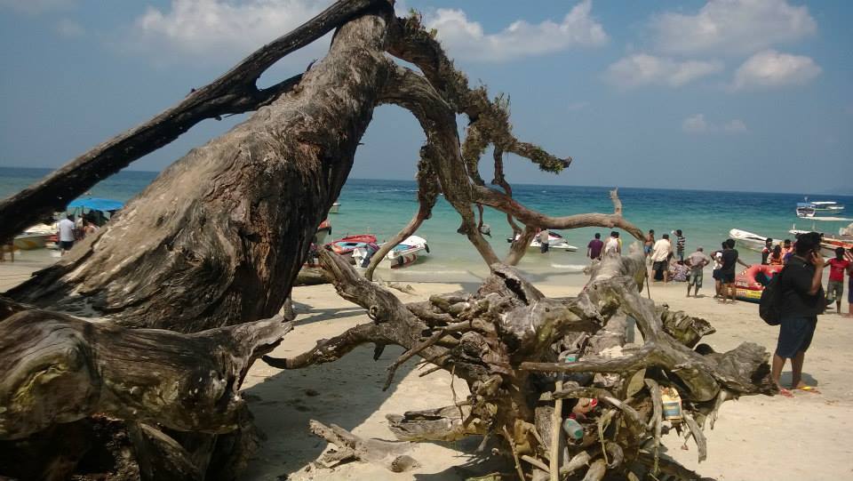 Photo of This is why I will visit Andamans again. 33/37 by Meha Sinha