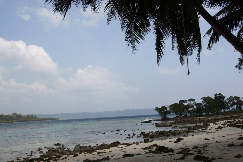 Photo of This is why I will visit Andamans again. 31/37 by Meha Sinha