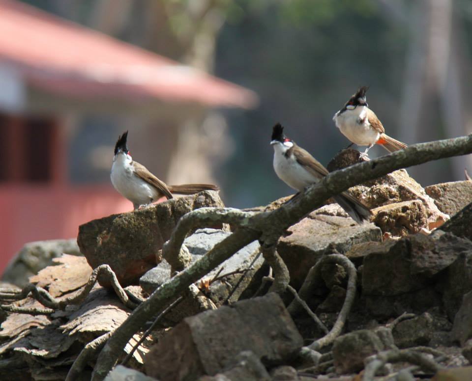 Photo of This is why I will visit Andamans again. 12/37 by Meha Sinha