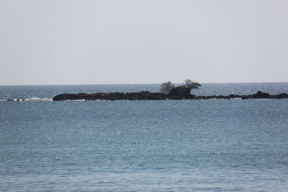 Photo of This is why I will visit Andamans again. 35/37 by Meha Sinha