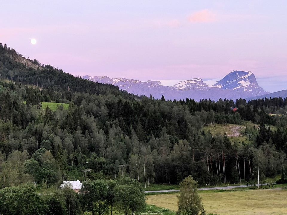 Photo of Your way? No. My way? No. Only NORWAY by Harshal Ajmera
