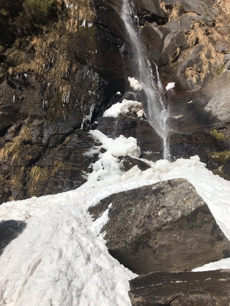 Photo of Paro by Nithyanantham Ravichandran