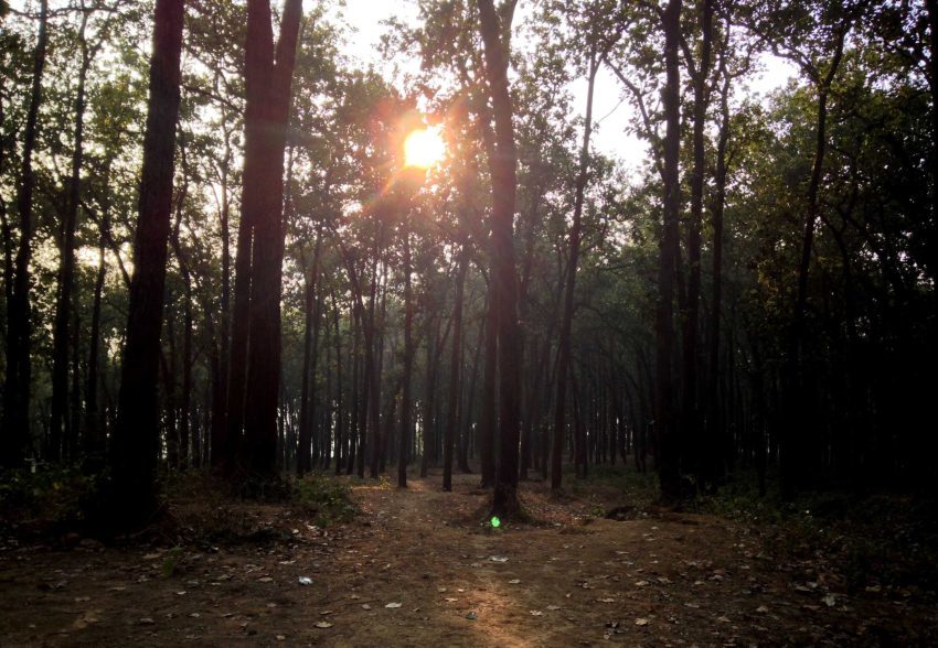 Photo of Camping near Jim Corbett National park | Local Food and Adventure Trip by kritidipta Lahkar