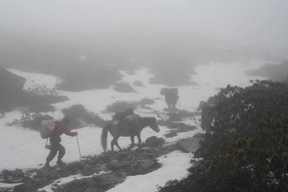 Photo of 6 Secrets of the North East Himalayas 8/17 by andrea.pinto92