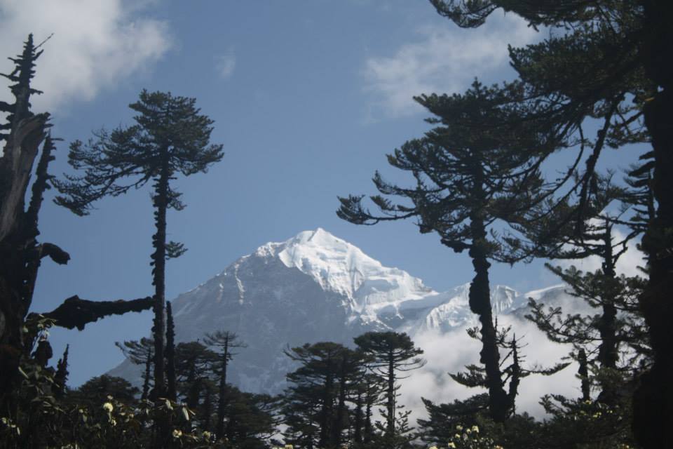 Photo of 6 Secrets of the North East Himalayas 10/17 by andrea.pinto92