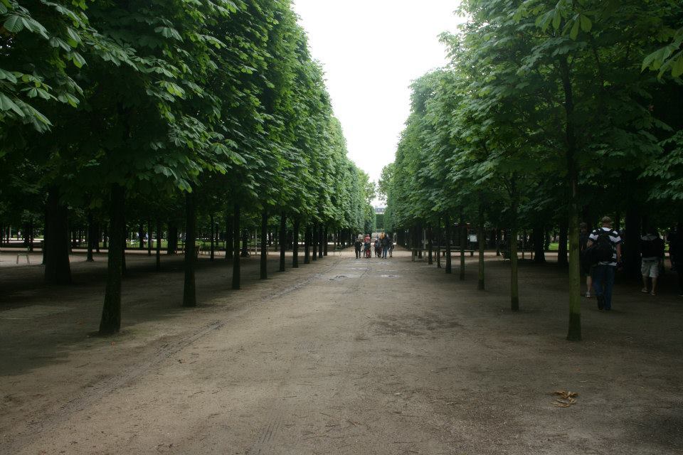 Photo of Magical Paris 12/62 by Tell-A-Travel-Tale