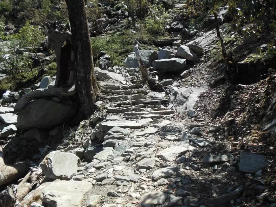 Photo of Chopta Tungnath by Tanya Singh