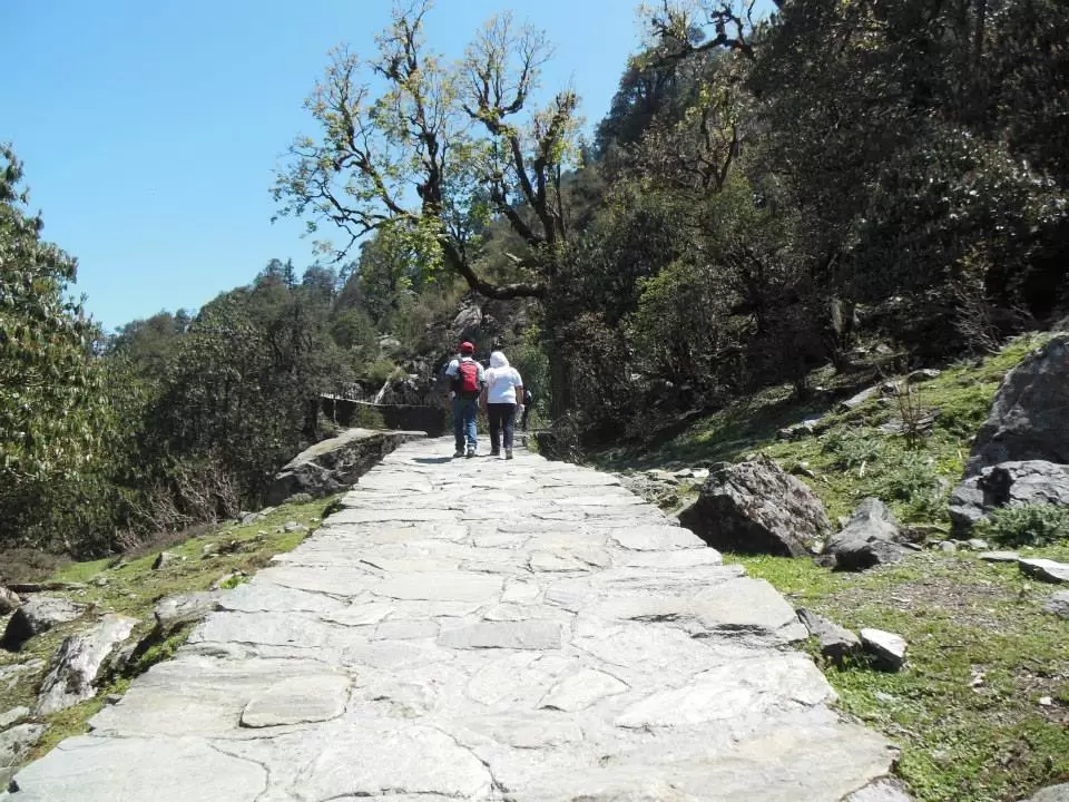 Photo of Chopta Tungnath by Tanya Singh