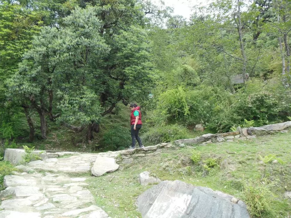 Photo of Chopta Tungnath by Tanya Singh
