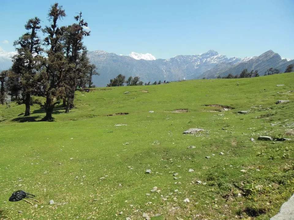 Photo of Chopta Tungnath by Tanya Singh