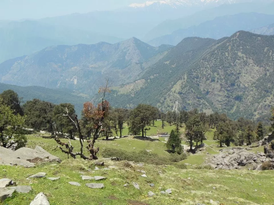 Photo of Chopta Tungnath by Tanya Singh