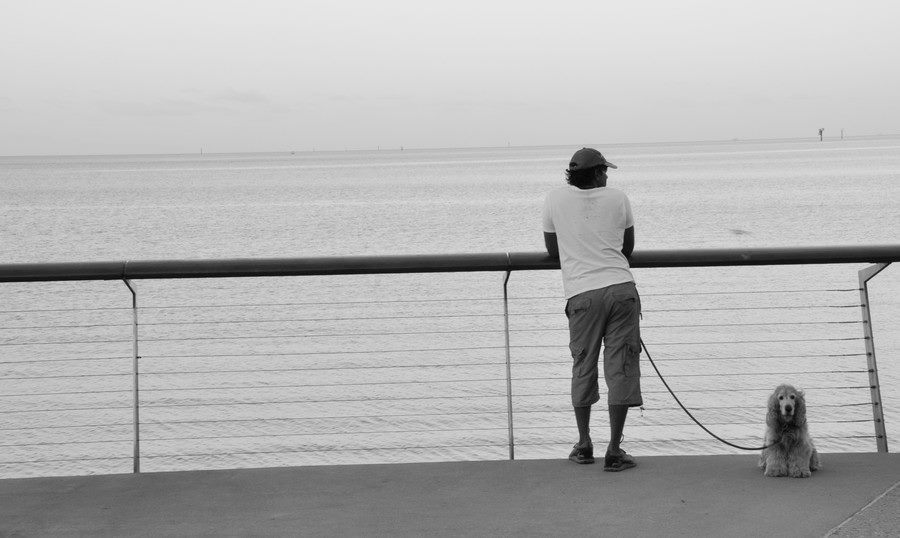 Photo of Australia - My adventure in the the land down under 26/33 by Tushar Mahajan