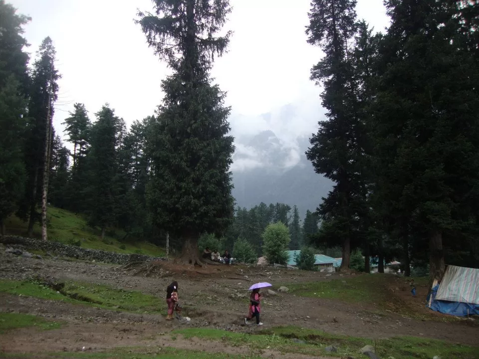 Photo of Srinagar by SaRa