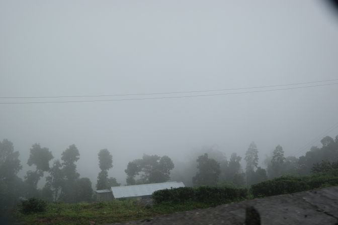 Photo of Darjeeling Solo Travel 18/48 by funkaj