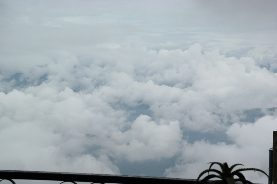 Photo of Darjeeling Solo Travel by funkaj