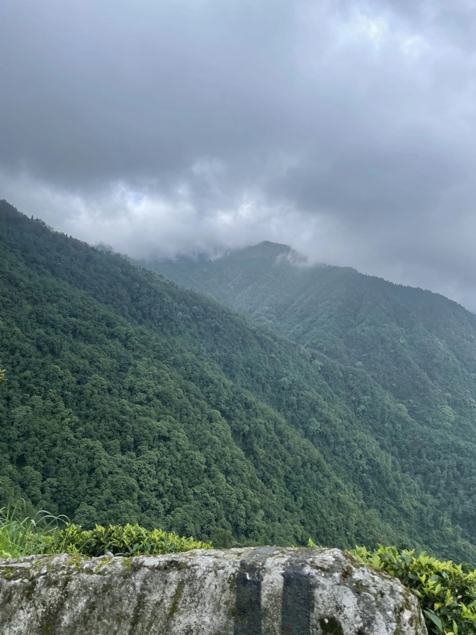 Photo of Darjeeling The Queen Of Himalayas by Ritesh Dixit