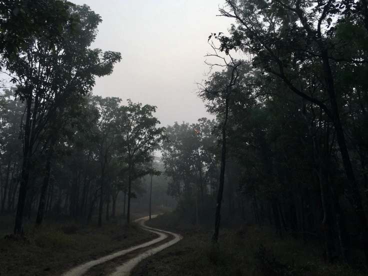 Photo of Madai, Madhya Pradesh, India by moromee das