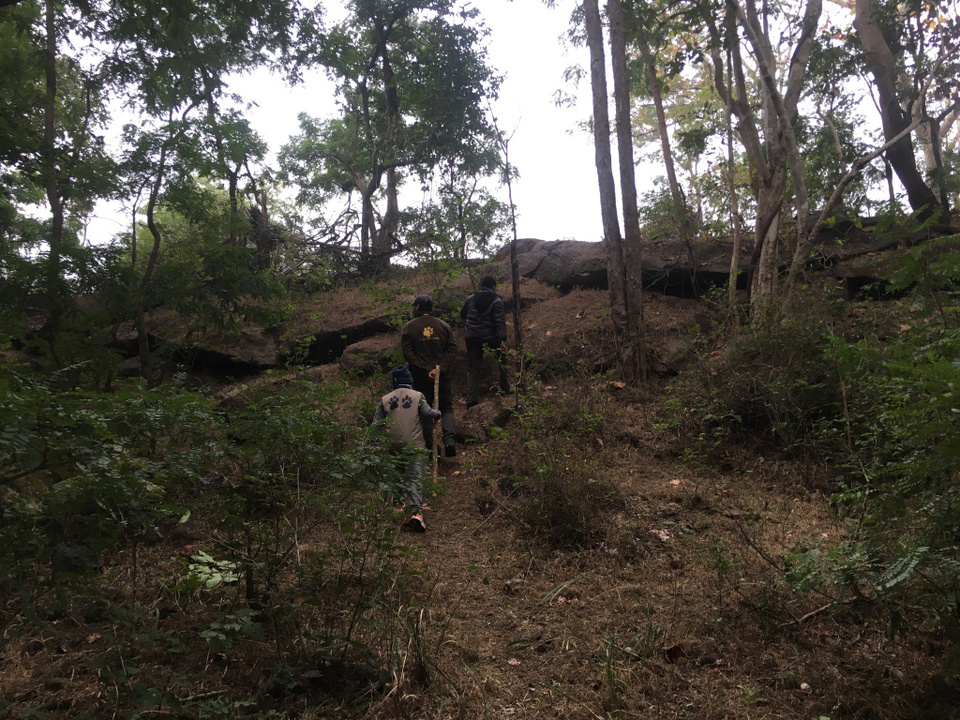 Photo of Madai, Madhya Pradesh, India by moromee das