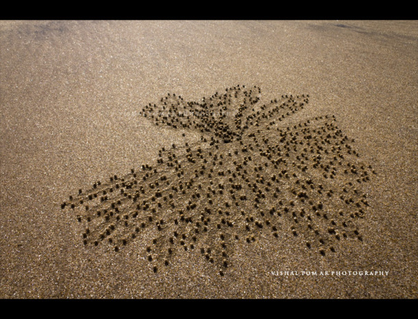 Photo of Waves and Worship - GANPATIPULE 18/20 by vishaltomar53