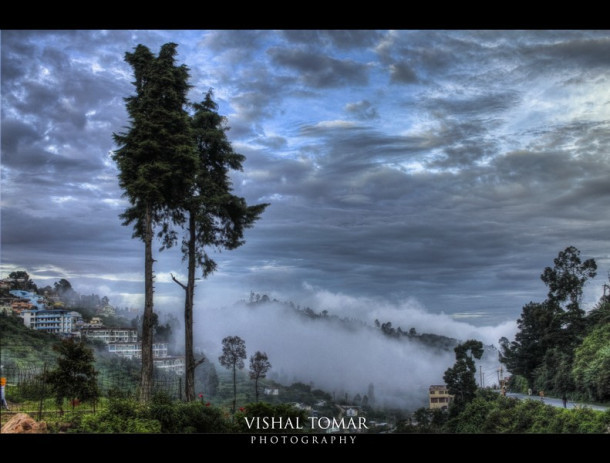 Photo of KODAIKANAL - Unveiling the valley of blue mist. 3/23 by vishaltomar53