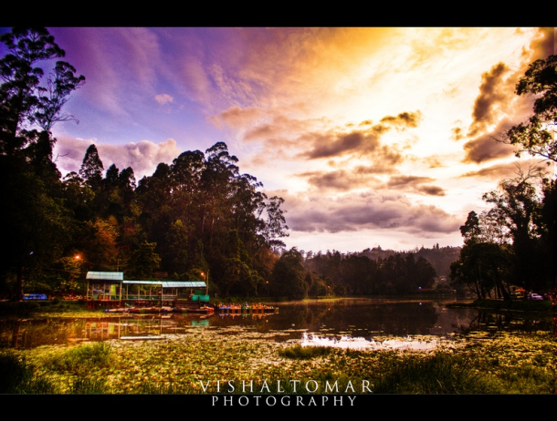 Photo of KODAIKANAL - Unveiling the valley of blue mist. 8/23 by vishaltomar53