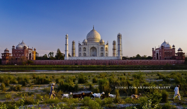 Photo of Taj Mahal - poetry in white. 4/22 by vishaltomar53