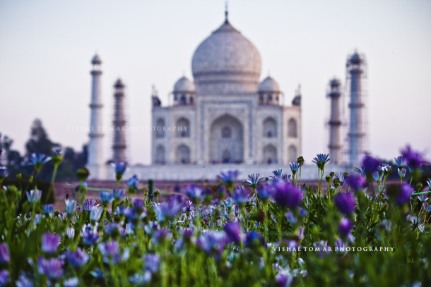 Photo of Taj Mahal - poetry in white. 6/22 by vishaltomar53